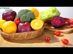 Household Slow Juicer Machine Stainless Steel Impact Resistant