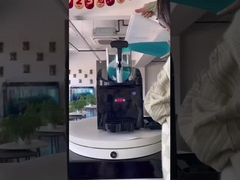 電気スラッシュマシン 3L ダブルタンク 小型家庭用・商業用